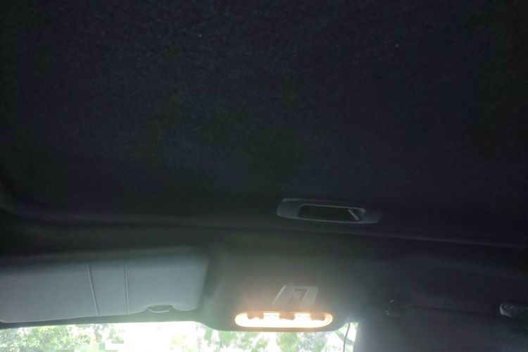 Used Infiniti ESQ 2014 1.6T Dynamic Edition Headliner