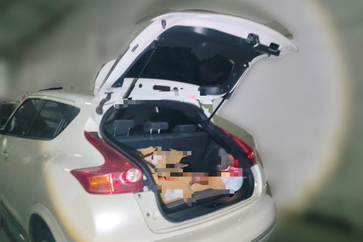 Used Infiniti ESQ 2014 1.6L Spontaneous Edition Trunk