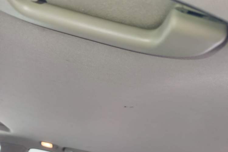 Used Infiniti EX 2010 EX25 Luxury Edition Headliner