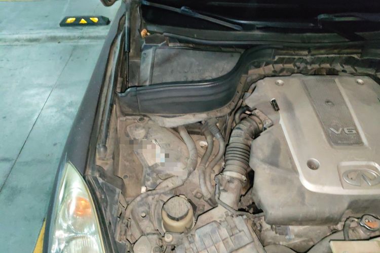 Used Infiniti EX 2011 EX25 Elegant Edition Engine Bay Right
