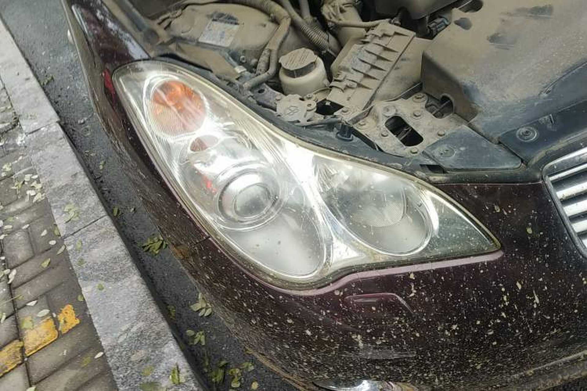 Used Infiniti EX 2011 EX25 Elegant Edition Right Front Headlight