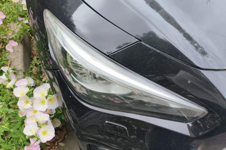 Used Infiniti Q50 2014 3.7L Luxury Sport Edition Right Front Headlight