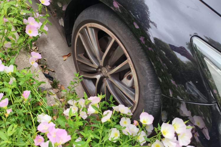 Used Infiniti Q50 2014 3.7L Luxury Sport Edition Right Front Wheel Hub