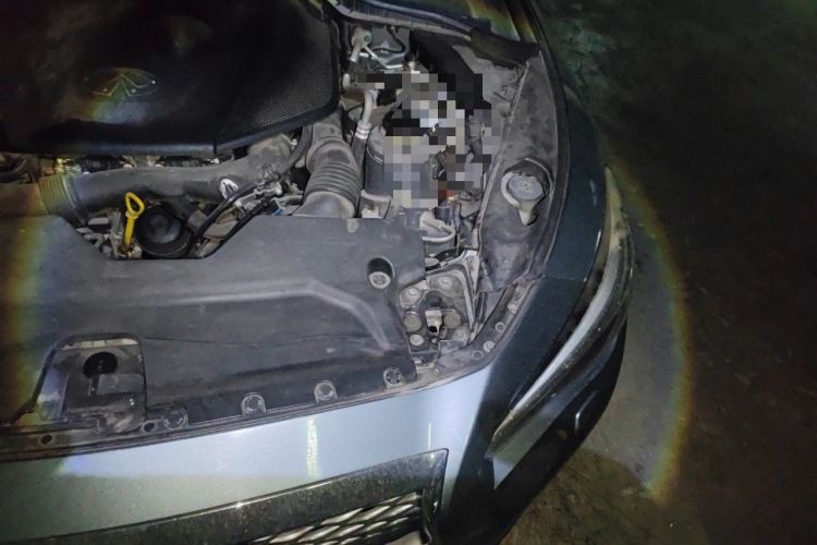 Used Infiniti Q50L 2015 2.0T Enjoyment Edition Engine Bay Left