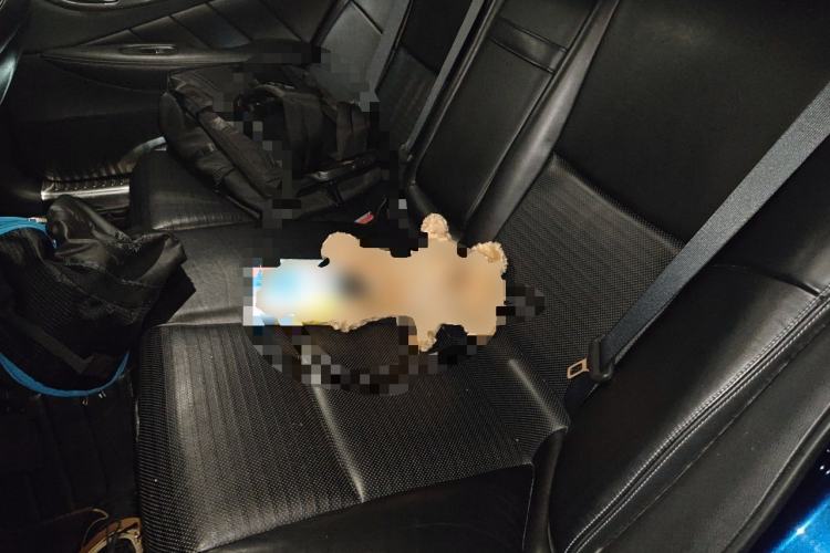 Used Infiniti Q50L 2015 2.0T Sport Edition Left Rear Seat