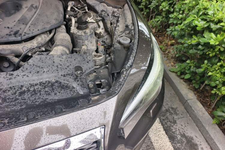 Used Infiniti Q50L 2015 2.0T Enjoyment Edition Engine Bay Left