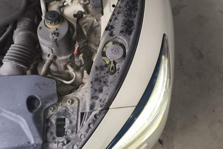 Used Infiniti Q50L 2016 2.0T Ambition Edition Engine Bay Left