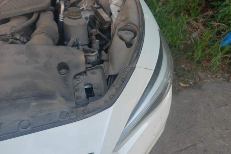 Used Infiniti Q50L 2018 2.0T Enjoyment Version China VI Standard Engine Bay Left