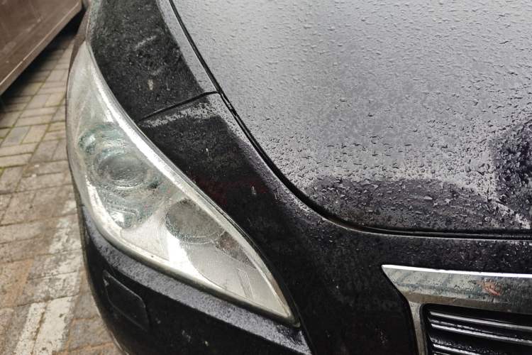 Used Infiniti Q70 2013 Q70L 2.5L Comfort Edition Right Front Headlight