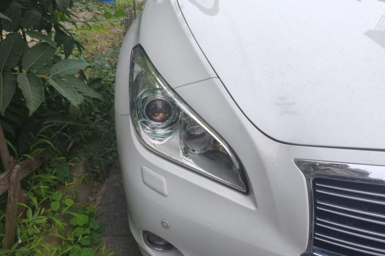 Used Infiniti Q70  Right Front Headlight