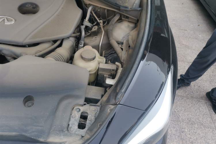 Used Infiniti Q70 2019 Q70L 2.0T Elite Edition Engine Bay Left