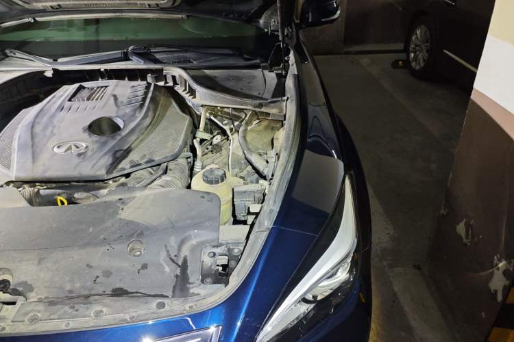 Used Infiniti Q70 2019 Q70L 2.0T Elite Plus Version Engine Bay Left