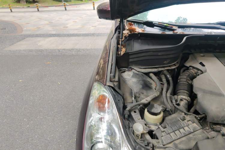 Used Infiniti QX50 2013 2.5L Two-Wheel-Drive Elegant Edition Engine Bay Right