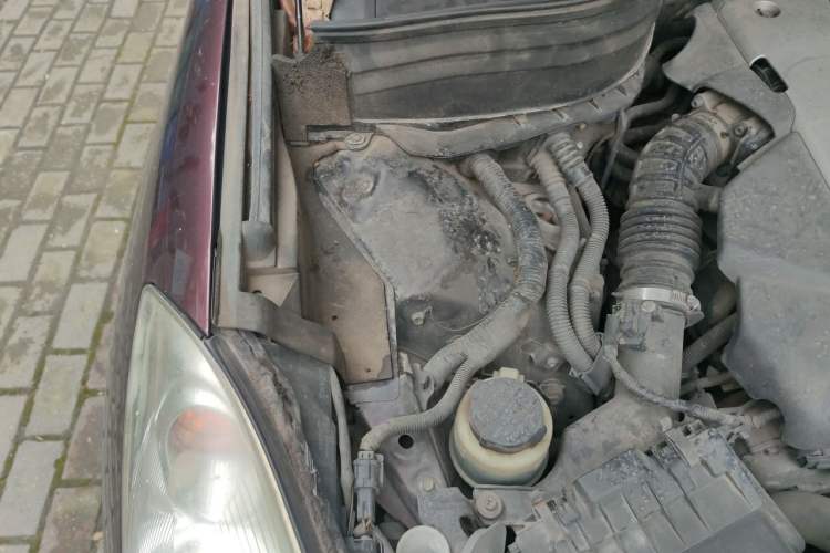 Used Infiniti QX50 2013 2.5L Two-Wheel-Drive Zunya Edition Engine Bay Right