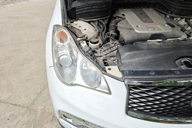 Used Infiniti QX50 2015 2.5L Enjoyment Edition Right Front Headlight