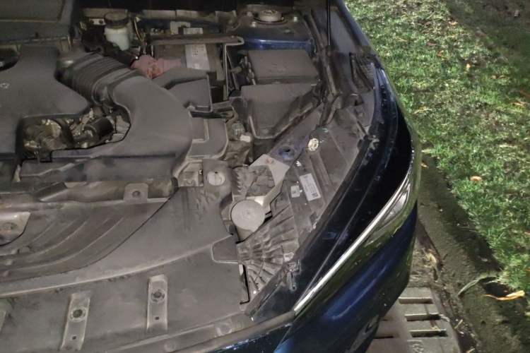 Used Infiniti QX50 2018 2.0T Two-Wheel Drive Fashion Edition Engine Bay Left
