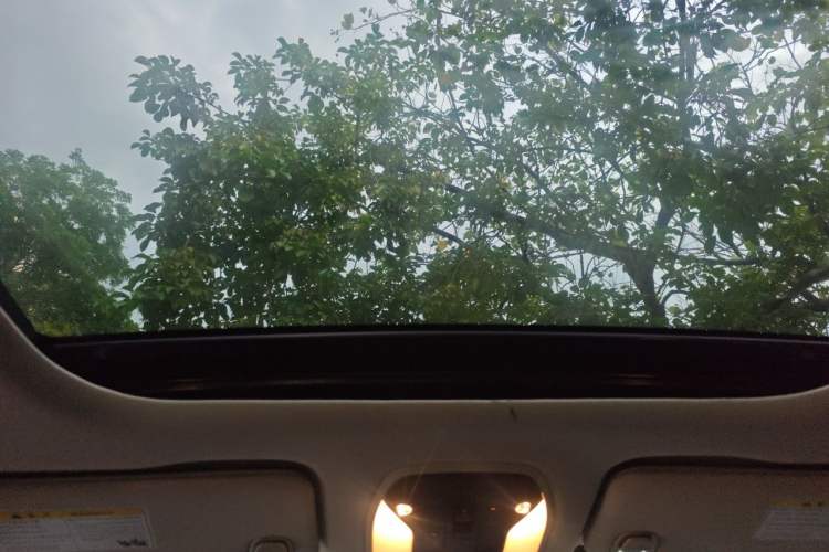 Used Infiniti QX50 2018 2.0T Two-Wheel Drive Fashion Edition Headliner