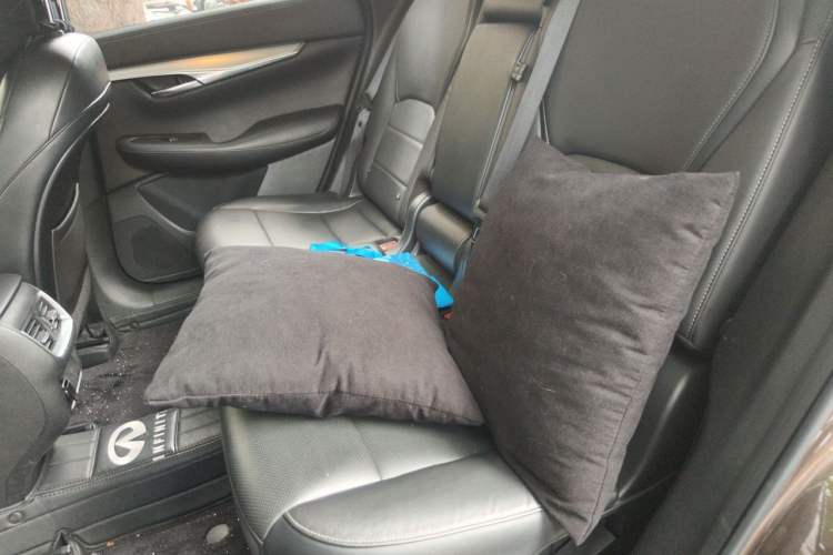 Used Infiniti QX50 2018 2.0T Two-Wheel Drive Fashion Edition Left Rear Seat