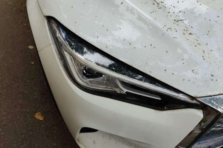 Used Infiniti QX50 2018 2.0T Four-Wheel Drive Elite Edition Right Front Headlight