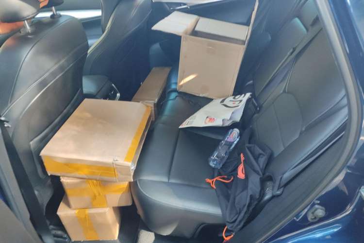 Used Infiniti QX50 2019 2.0T 30th Anniversary Limited Edition Left Rear Seat