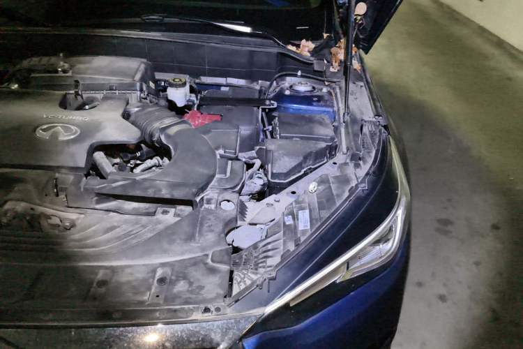 Used Infiniti QX50 2020 Revised Version 2.0T Two-Wheel Drive Fashion Edition Engine Bay Left