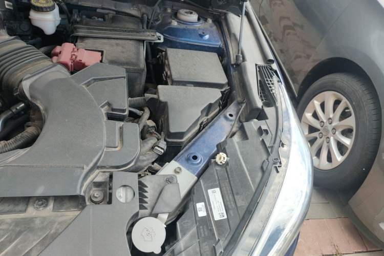 Used Infiniti QX50 2020 Revised Version 2.0T All-Wheel Drive Elite Edition Engine Bay Left
