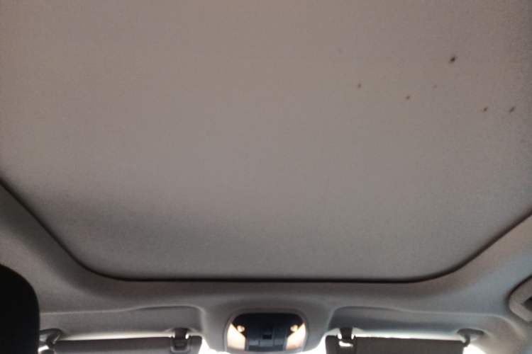 Used Infiniti QX50 2020 2.0T Two-Wheel Drive Fashion Edition Headliner
