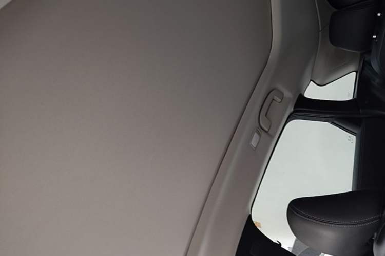 Used Infiniti QX50 2020 2.0T All-Wheel-Drive Elite Version Headliner