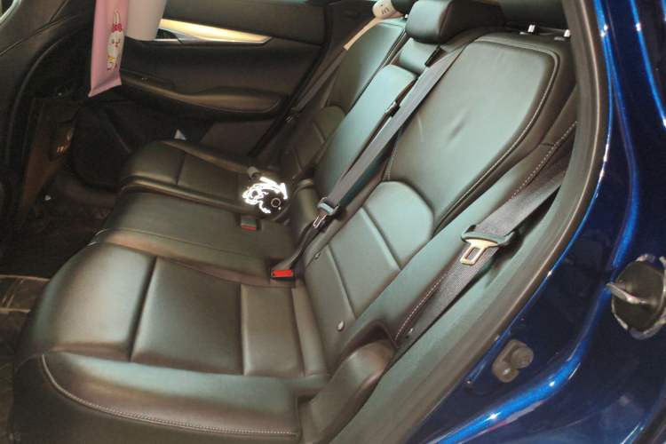 Used Infiniti QX50 2020 Revised Version 2.0T All-Wheel Drive Elite Edition Left Rear Seat