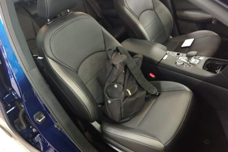 Used Infiniti QX50 2020 Revised Version 2.0T All-Wheel Drive Elite Edition Right Front Seat
