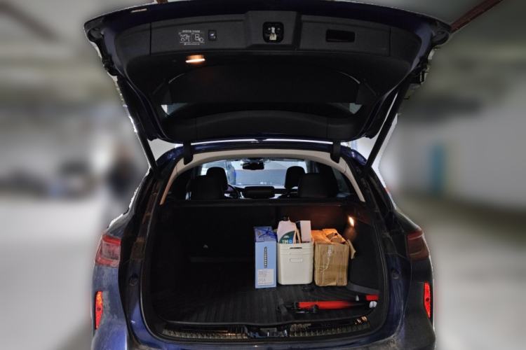 Used Infiniti QX50 2020 2.0T All-Wheel-Drive Elite Version Trunk
