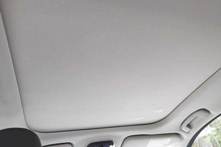Used Infiniti QX50 2020 2.0T All-Wheel-Drive Elite Version Headliner