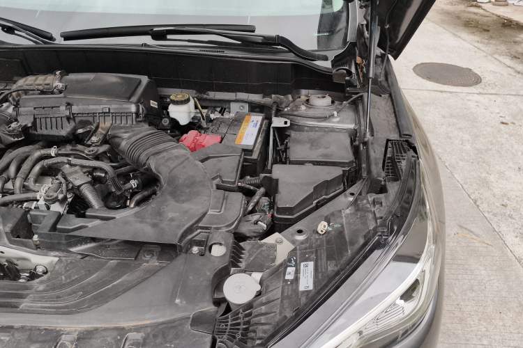 Used Infiniti QX50 2020 Revised Version 2.0T Two-Wheel Drive Elite Edition Engine Bay Left