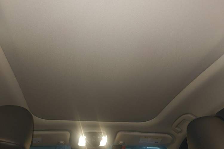 Used Infiniti QX50 2020 2.0T All-Wheel-Drive Elite Version Headliner