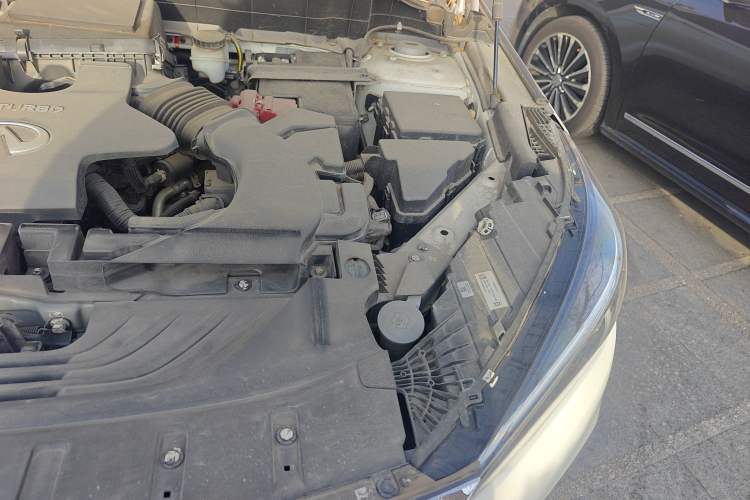 Used Infiniti QX50 2020 Revised Version 2.0T Two-Wheel Drive Fashion Edition Engine Bay Left