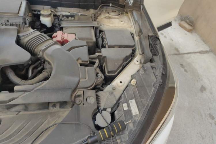 Used Infiniti QX50 2020 Revised Version 2.0T Two-Wheel Drive Fashion Edition Engine Bay Left