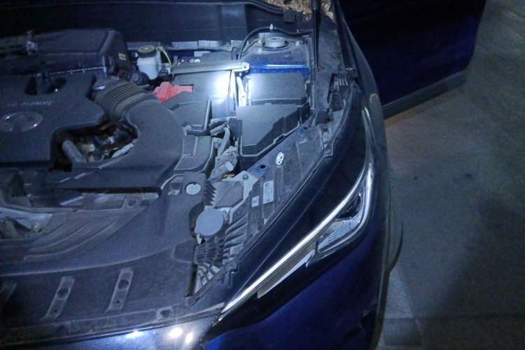 Used Infiniti QX50 2022 2.0T Two-Wheel Drive Navigation Edition Engine Bay Left