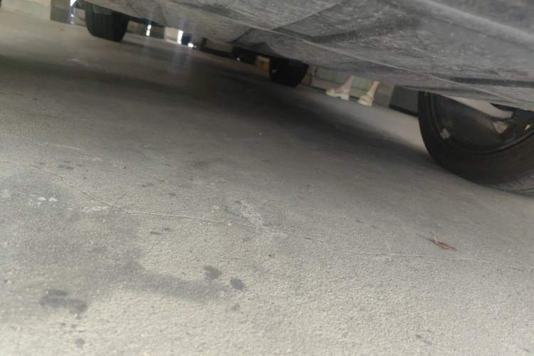 Used Infiniti QX55 2022 2.0T All-Wheel-Drive Luxury Edition Chassis Front