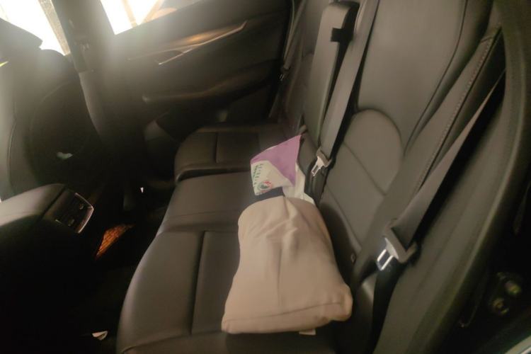 Used Infiniti QX55 2022 2.0T All-Wheel-Drive Luxury Edition Left Rear Seat