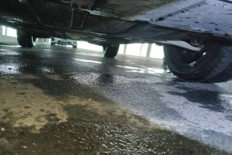Used Infiniti QX55 2022 2.0T All-Wheel-Drive Ignite Edition Chassis Front