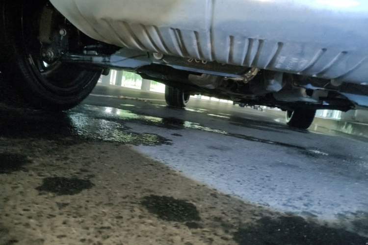 Used Infiniti QX55 2022 2.0T All-Wheel-Drive Ignite Edition Chassis Rear