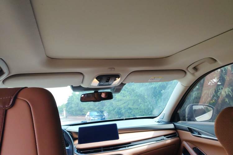 Used Infiniti QX60 2024 2.0T Four-Wheel Drive Luxury Edition Headliner