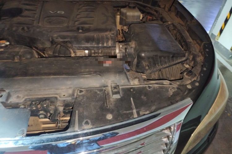 Used Infiniti QX80 2013 5.6L 4WD Engine Bay Left