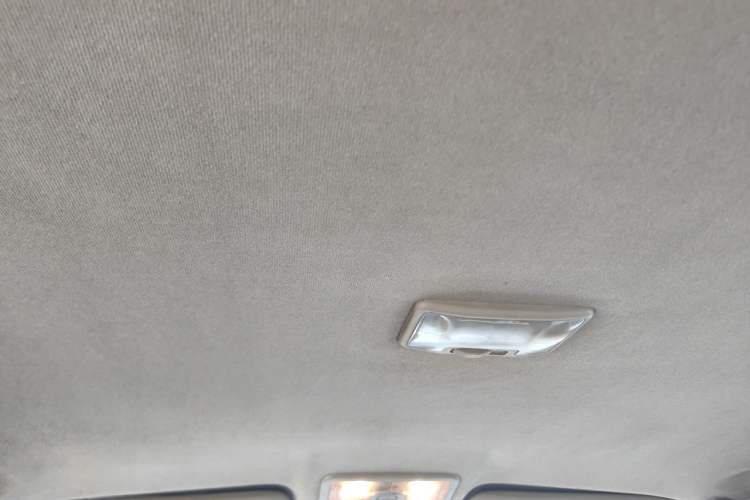 Used Isuzu D-MAX 2018 3.0T Two-Wheel Drive Automatic Elite Version 4JJ1-TC HI Headliner