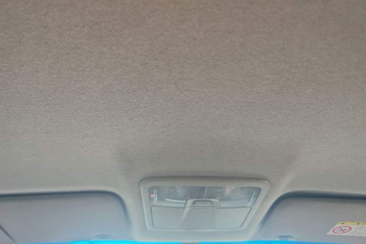 Used Isuzu D-MAX 2019 2.5T Two-Wheel Drive Manual Base Version JE4D25Q5A Headliner