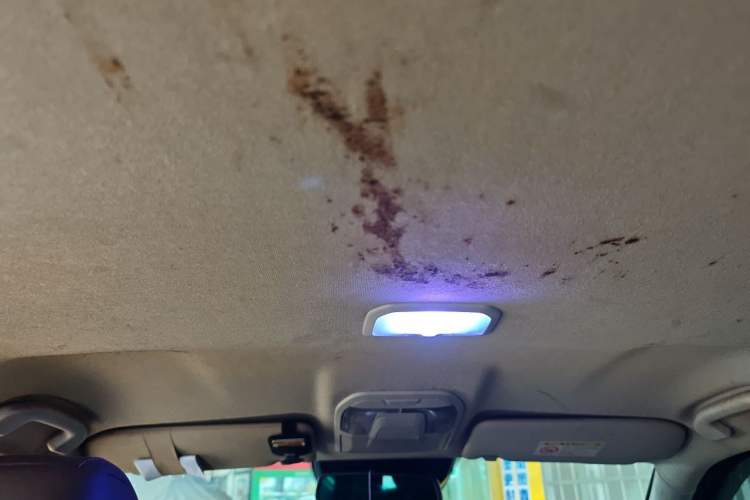 Used Isuzu D-MAX 2021 1.9T Automatic 4x4 Diesel Global Changle Leading RZ4E Headliner
