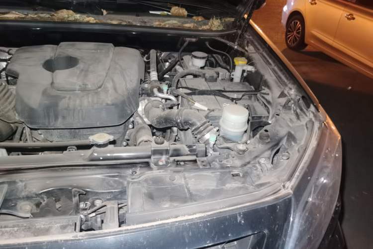 Used Isuzu JLM 2020 2.4T Two-Wheel Drive Gasoline Leading-Edge Version with National VI Emission Standards Standard Wheelbase 4K22D4T Engine Bay Left