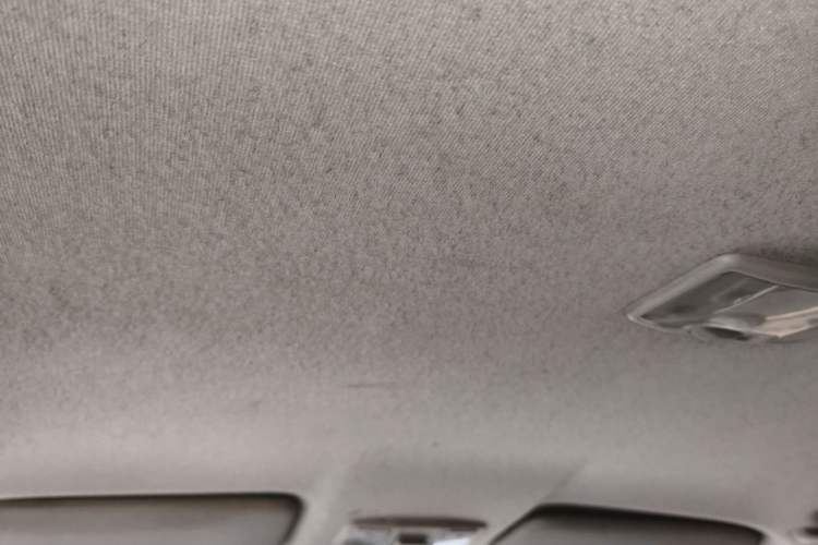 Used Isuzu JLM 2020 2.4T Two-Wheel Drive Gasoline Leading-Edge National VI Ruimai S Extended Version 4K22D4T Headliner