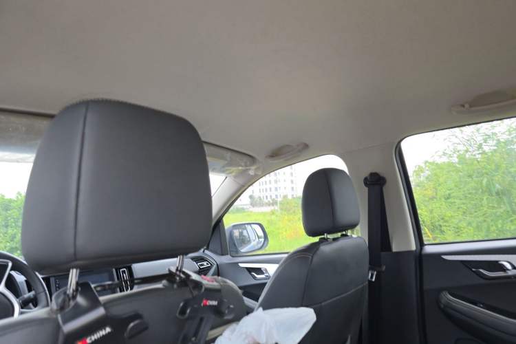 Used Isuzu JLM 2024 Classic 2.8T Diesel Manual Two-Wheel Drive Comfort Version – Standard Wheelbase Headliner