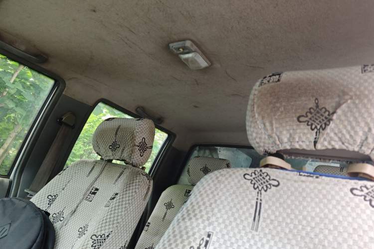 Used Isuzu Rodeo  Headliner